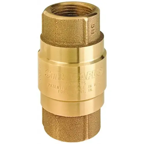 Check Valve: 2-1/2" Pipe