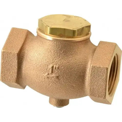 Check Valve: 1" Pipe