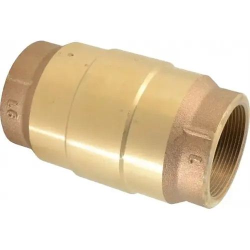 Check Valve: 2" Pipe Check Valve: 2" Pipe