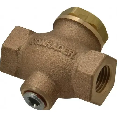 Check Valve: 1/4" Pipe Check Valve: 1/4" Pipe