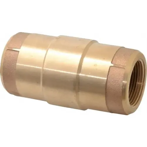 Check Valve: 1-1/4" Pipe