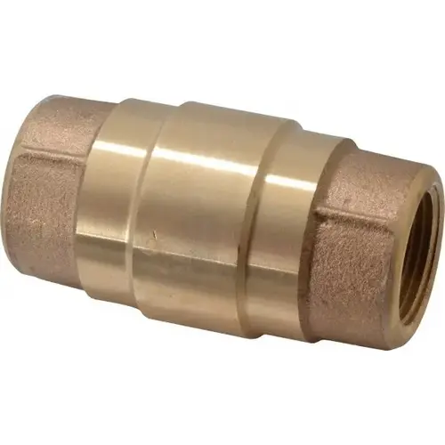 Check Valve: 1" Pipe