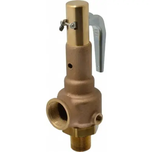 High Pressure Safety Relief Valve: 1" Inlet, 100 Max psi