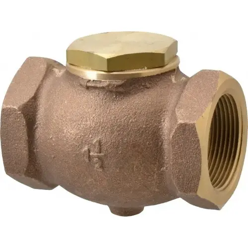 Check Valve: 1-1/2" Pipe