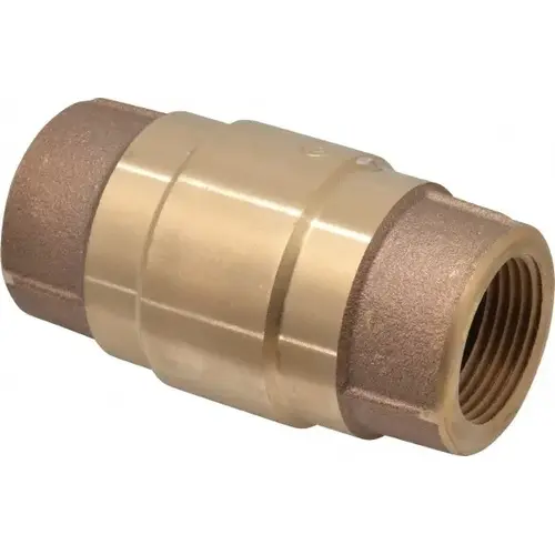 Check Valve: 1" Pipe