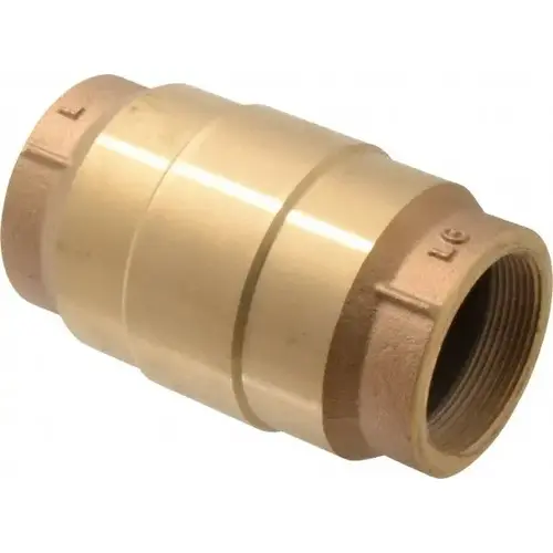 Check Valve: 2" Pipe