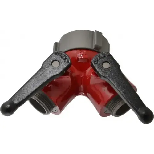Gate Valve: WYE, 2-1/2" Pipe, NST, Steel