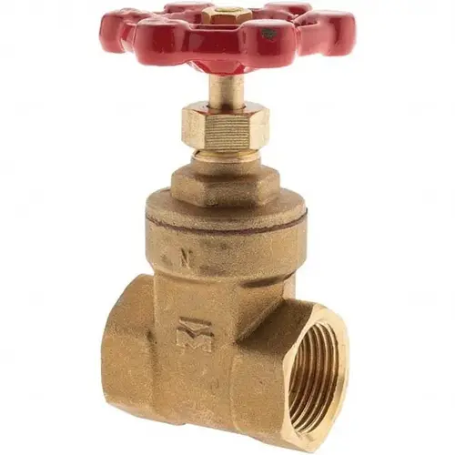 Gate Valve: Gate, 3/4" Pipe, FNPT x FNPT, Bronze