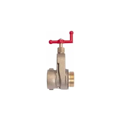 Gate Valve: Gate, 2-1/2" Pipe, NST, Brass