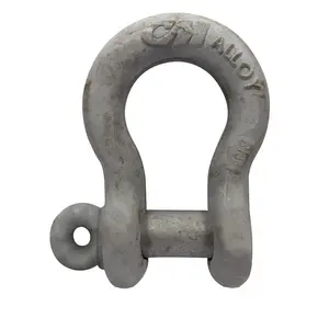 CM M649AG Anchor Shackle: Screw Pin