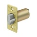 Polished Brass