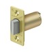 Polished Brass