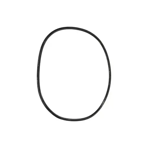 Posi-Clear Filter Tank O-Ring Posi-Clear Filter Tank O-Ring