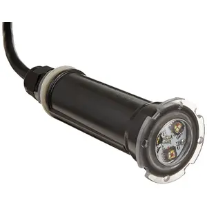 Pentair 602056 Globrite 12V 150 ft LED Light