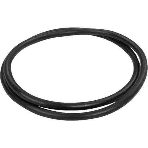 Pro-Clean Filter Lid O-Ring