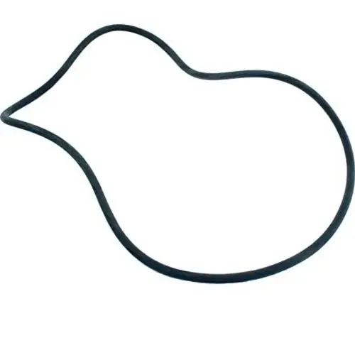 Sta-Rite PLM Tank O-Ring