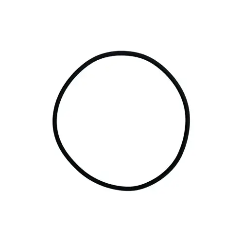 Sta-Rite Posi-Flo Top O-Ring