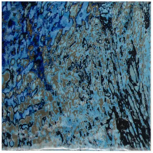 Florida Key Largo 6 X 6 Tile