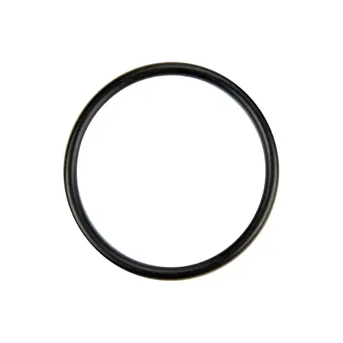 1.5" Union & Diffuser Oring 1.5" Union & Diffuser Oring