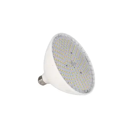 Vivid 35W 12V Multicolor LED Pool Bulb