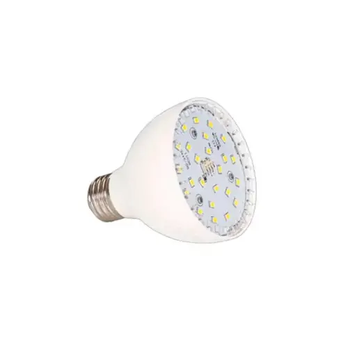 Vivid 20W LED Spa Bulb - Multicolor