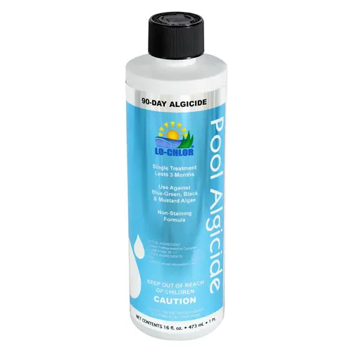 90 Day Algicide - Pint