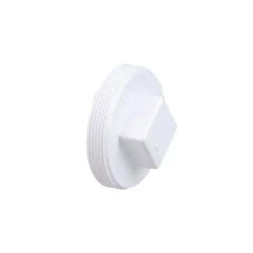 CLEAN OUT PLUG 2in CLEAN OUT PLUG 2in