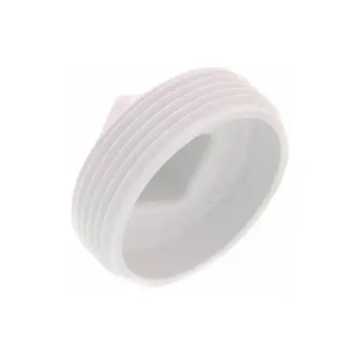 CLEAN OUT PLUG 2 1/2in CLEAN OUT PLUG 2 1/2in