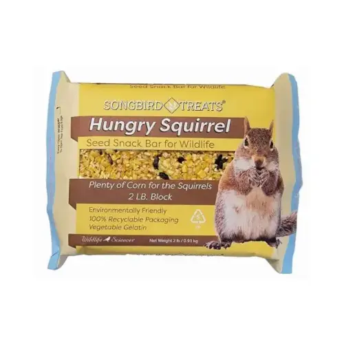 Hungry Squirrel Suet Cake, Large 2 Lb. Bar Hungry Squirrel Suet Cake, Large 2 Lb. Bar