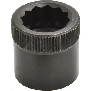Holo-Krome 6054 3/4-10" Thread Uncoated Steel Allen Nut