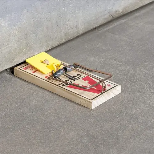 Victor Plastic Pedal Rat Trap Victor Plastic Pedal Rat Trap
