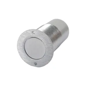 Pamex DD05604SC Dust Proof Strike without Face Plate for Flush Bolts Satin Chrome Finish