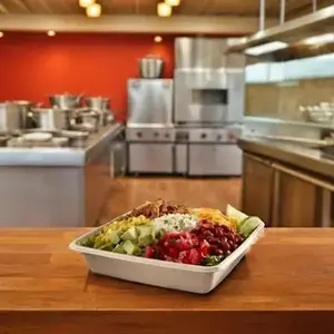 Pulp Plus 49148F300TPLS Pulp Plus Take-Out Container 48 OZ Pulp Fiber Square - pack of 300