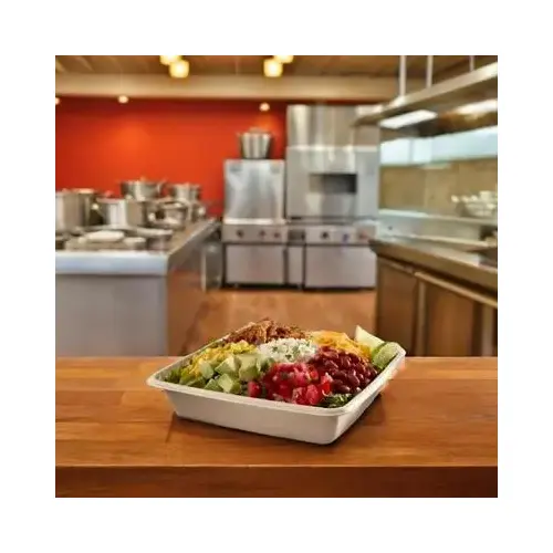 Pulp Plus Take-Out Container 48 OZ Pulp Fiber Square - pack of 300