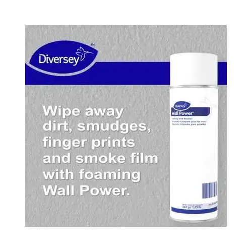 Wall Power Floral Wall Cleaner 20 FLOZ Multi Surface Aerosol RTU Yellow - pack of 12 Wall Power Floral Wall Cleaner 20 FLOZ Multi Surface Aerosol RTU Yellow - pack of 12