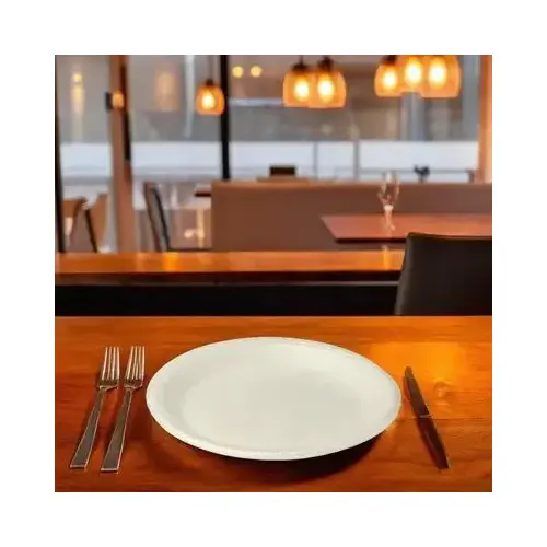 Plate 9 IN Polystyrene Foam White Round - pack of 500