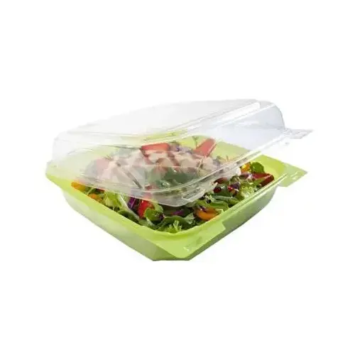 The BOTTLEBOX Take-Out Container Hinged With Dome Lid 8.46X7.96X2.88 IN RPET Clear Green Rectangle - pack of 200