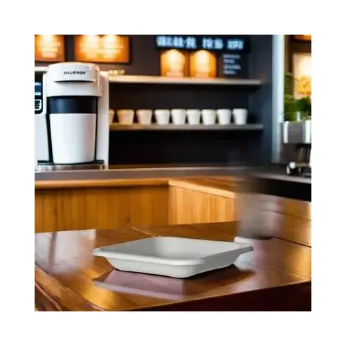 WorldView Take-Out Container Base 5X5 IN Sugarcane White Square Cut Resistant Grease Resistant - pack of 800 WorldView Take-Out Container Base 5X5 IN Sugarcane White Square Cut Resistant Grease Resistant - pack of 800