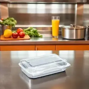 DFI - Detroit Forming Inc. LBH-667 Take-Out Container Base 9.375X6.75X2.25 IN Clear - pack of 350