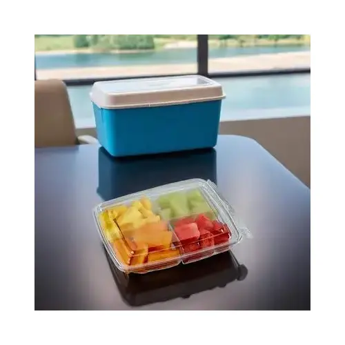 Fresh N' Sealed Deli Container Hinged With Flat Lid 16 OZ 4 Compartment PET Clear Rectangle - pack of 240 Fresh N' Sealed Deli Container Hinged With Flat Lid 16 OZ 4 Compartment PET Clear Rectangle - pack of 240