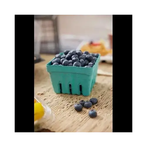 Berry Basket 16 OZ Molded Fiber Green Square - pack of 420 Berry Basket 16 OZ Molded Fiber Green Square - pack of 420