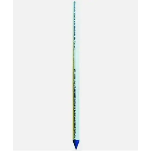 Well Point, PVC Drive, 1.25-In. x 5-Ft.