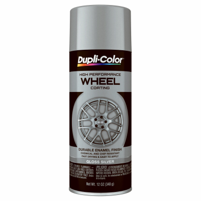 KRYLON DIVERSIFIED BRANDS EHWP10107 12OZ SLV GLS WHL Paint