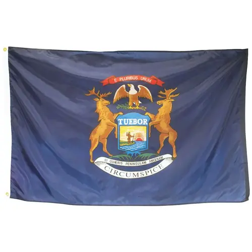 Valley Forge Flag State Flag Michigan 6 ft X 4 ft Valley Forge Flag State Flag Michigan 6 ft X 4 ft