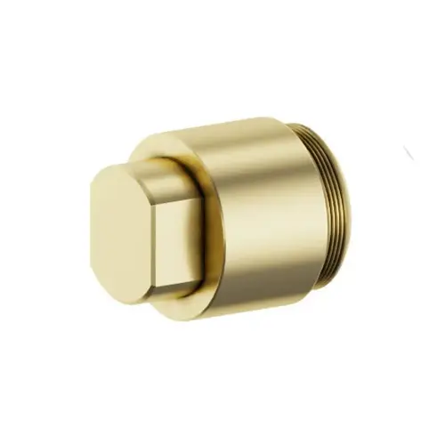 Symmons Temptrol Test Cap