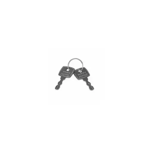 KEY, 2 KEYS & RING KEY, 2 KEYS & RING