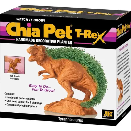 Decorative Planter Dinosaur TRex Terracotta Clay Multicolored