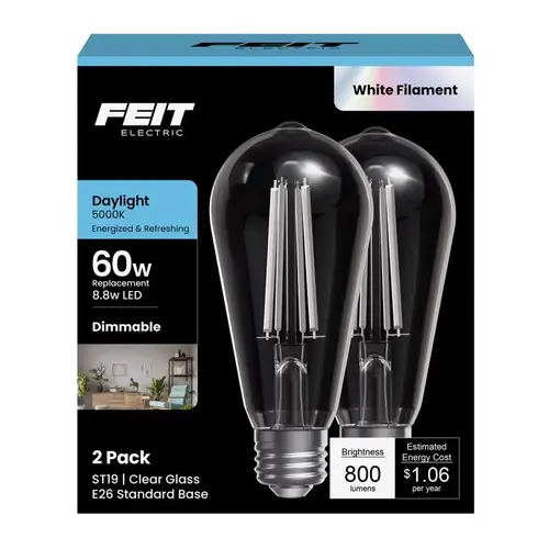 Filament LED Bulb ST19 E26 (Medium) Daylight 60 Watt Equivalence Clear Filament LED Bulb ST19 E26 (Medium) Daylight 60 Watt Equivalence Clear