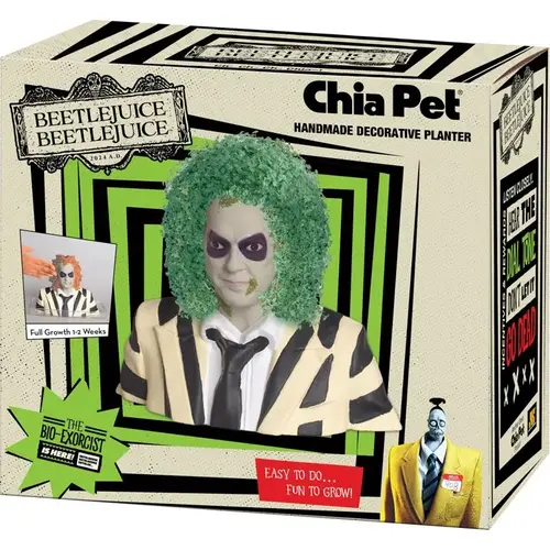 Decorative Planter Beetlejuice Clay Multicolored Decorative Planter Beetlejuice Clay Multicolored