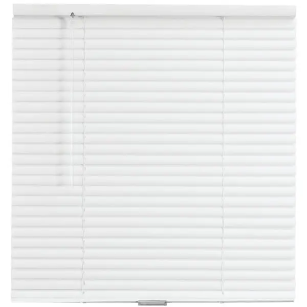 Champion TruTouch 25x72 Cordless 1 Aluminum Mini Blind White 3019467102955-0 Champion TruTouch 25x72 Cordless 1 Aluminum Mini Blind White 3019467102955-0